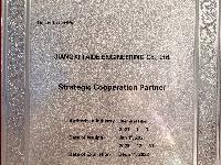 ABB戰(zhàn)略合作伙伴